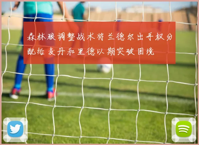 森林狼调整战术将兰德尔出手权分配给麦丹和里德以期突破困境